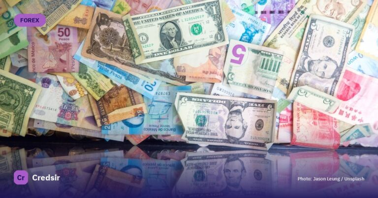 10 and one 10 us dollar bill — cover photo for Credsir’s EUR to INR guide