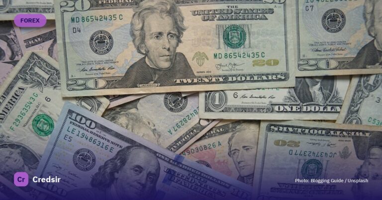 20 us dollar bill — cover photo for Credsir’s SAR to INR guide