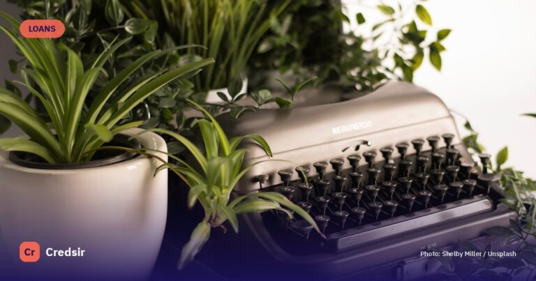 Silver typewriter surrounded with green leafed plant — cover photo for Credsir’s Business Loan EMI Calculator guide