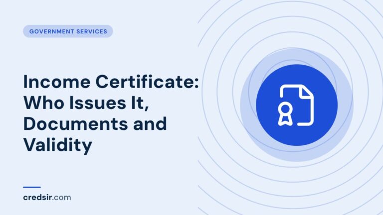 Credsir Government Services guide cover with a file badge icon