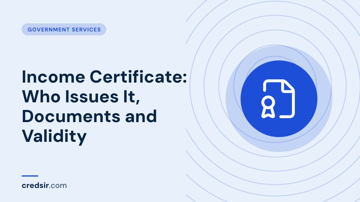 Credsir Government Services guide cover with a file badge icon